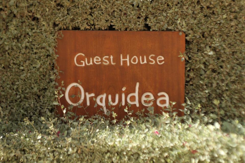 Guest House Orquidea Сал-Рей Екстер'єр фото